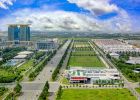 Bình Dương: Thực hiện cơ chế, chính sách khuyến khích doanh nghiệp đầu tư vào nông nghiệp, nông thôn